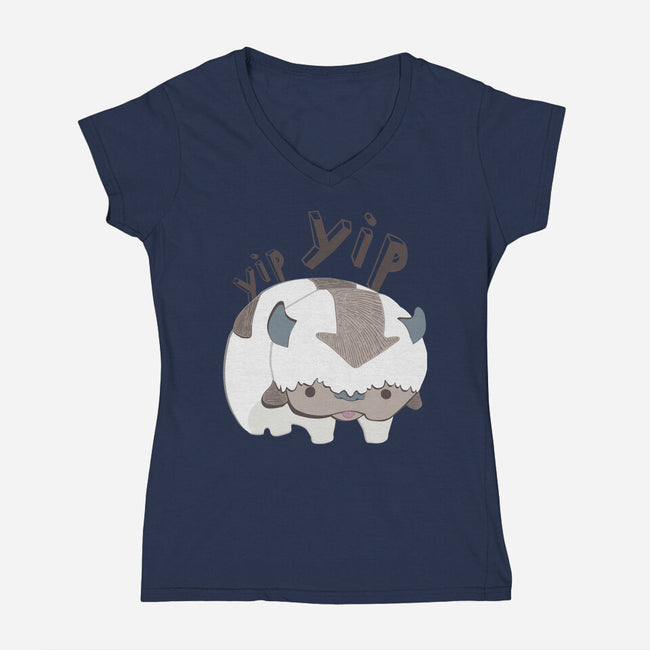 Let's Fly-womens v-neck tee-StinkPad