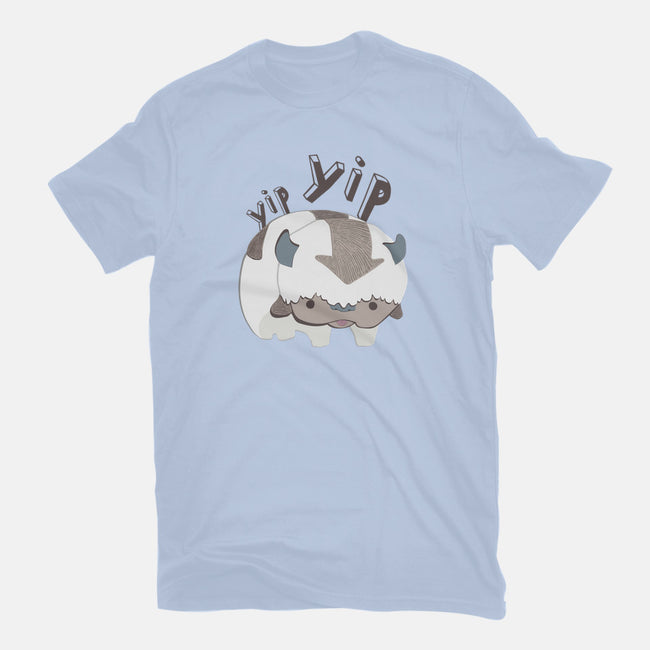 Let's Fly-womens basic tee-StinkPad