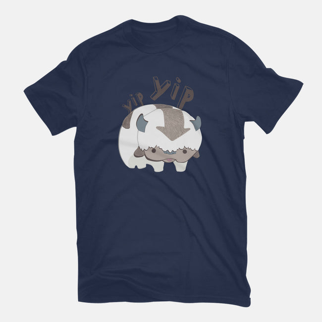 Let's Fly-womens basic tee-StinkPad