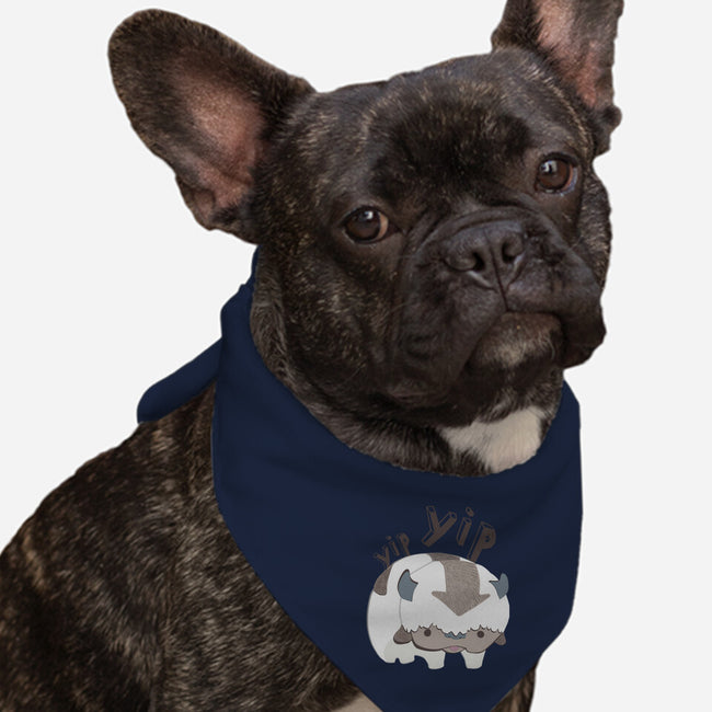 Let's Fly-dog bandana pet collar-StinkPad