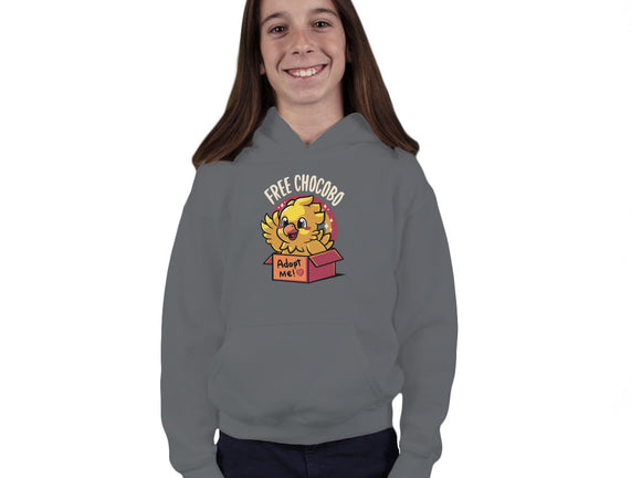 Adopt a Chocobo