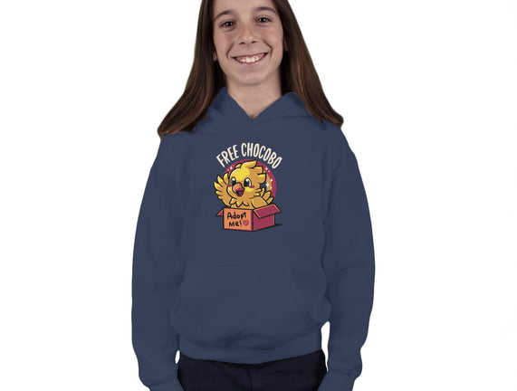Adopt a Chocobo