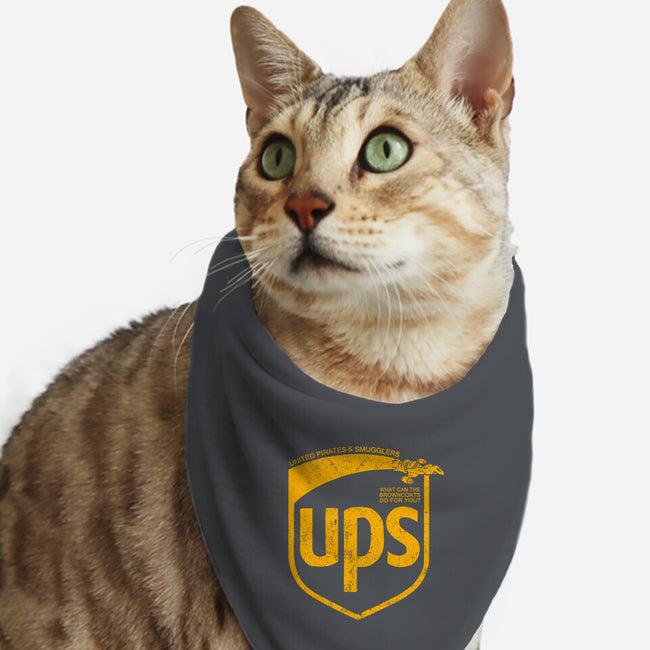 United Pirates and Smugglers-cat bandana pet collar-kg07