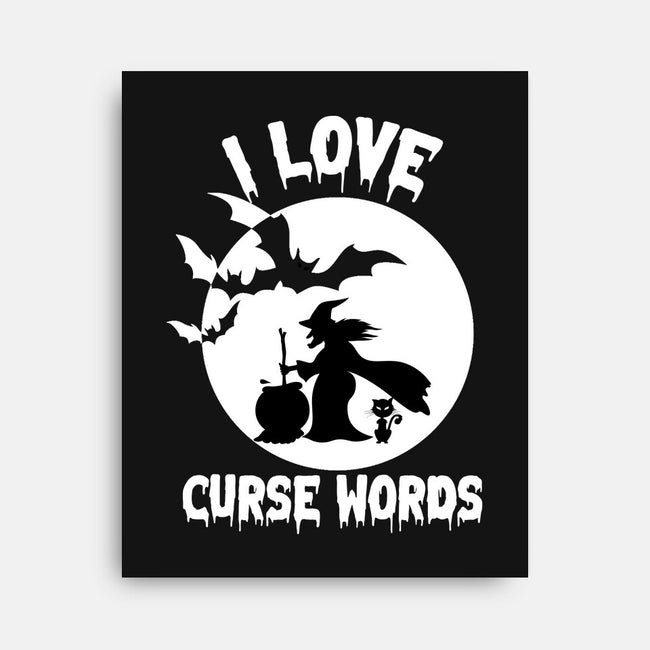 I Love Curse Words-none stretched canvas-benyamine12