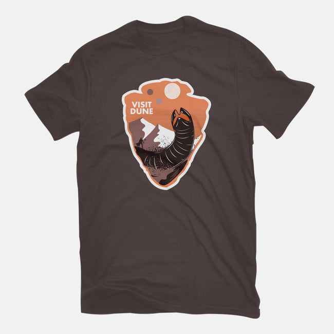 Visit Dune-mens heavyweight tee-palmstreet