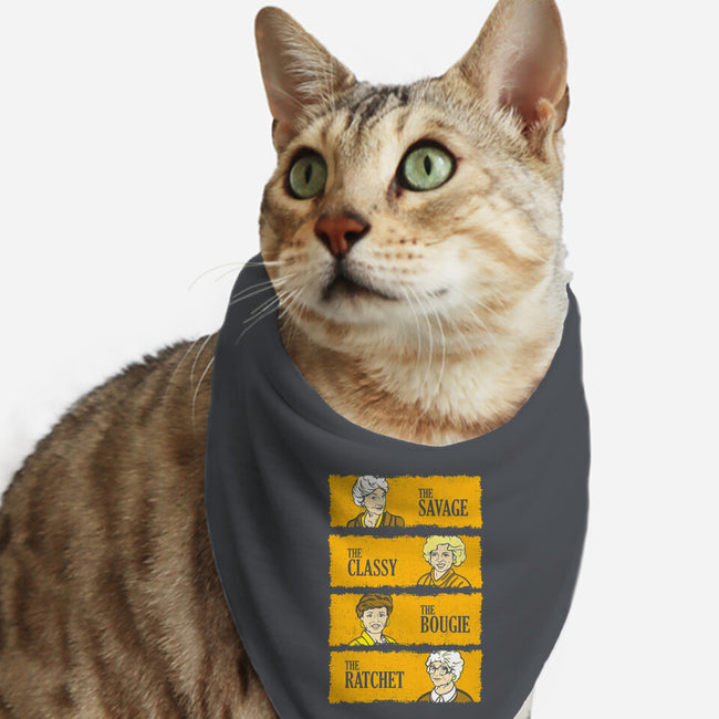 Golden Savages-cat bandana pet collar-dalethesk8er