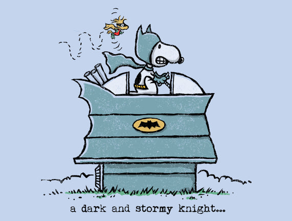 A Dark And Stormy Knight