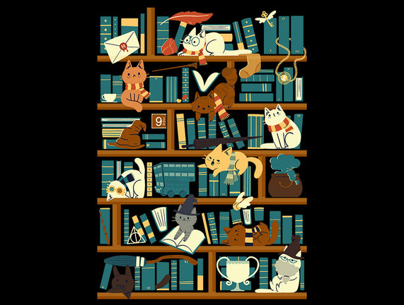 Library Magic School