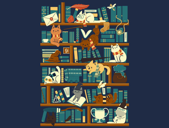 Library Magic School