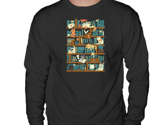 Library Magic School