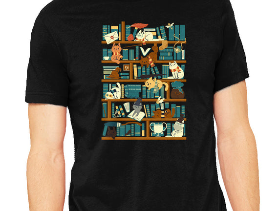 Library Magic School