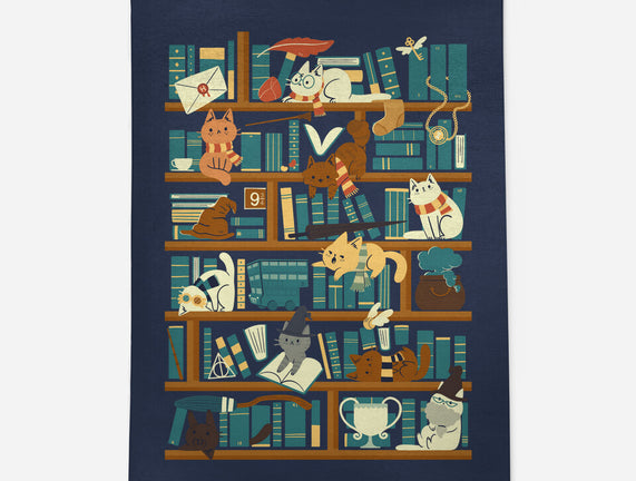 Library Magic School