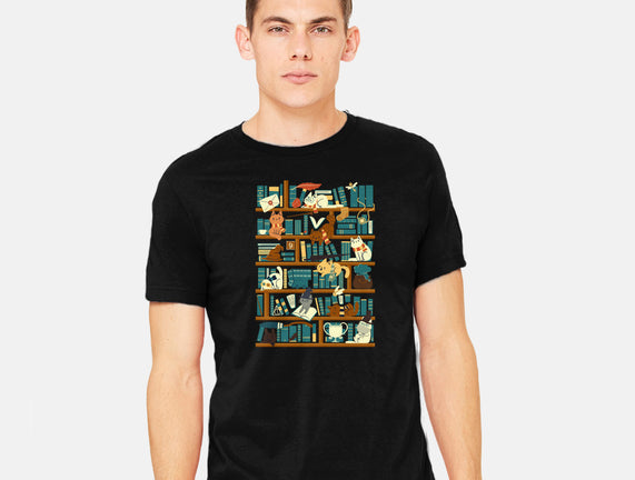 Library Magic School