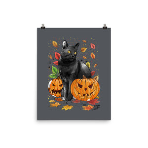 Cat Leaves and Pumpkins