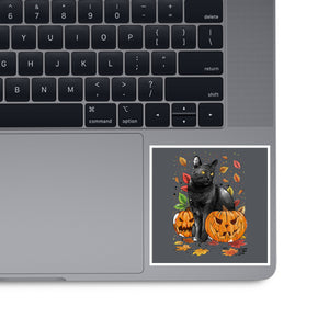 Cat Leaves and Pumpkins