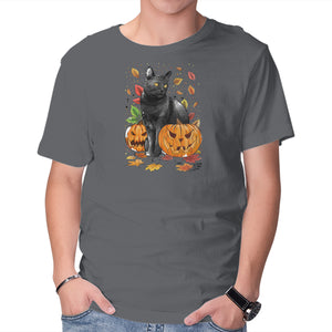 Cat Leaves and Pumpkins
