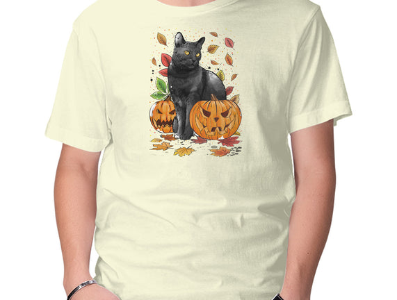 Cat Leaves and Pumpkins