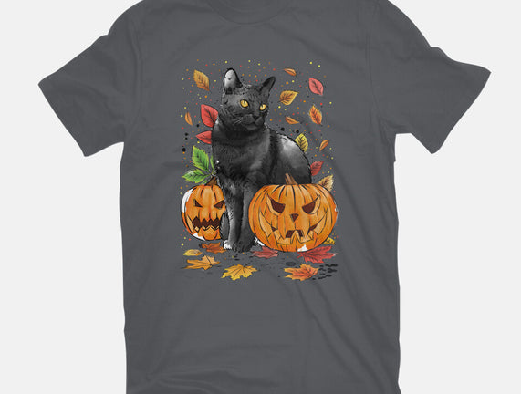 Cat Leaves and Pumpkins