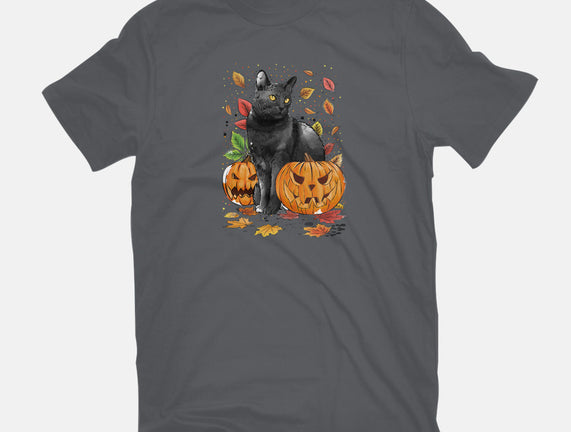 Cat Leaves and Pumpkins