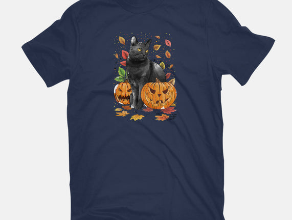 Cat Leaves and Pumpkins