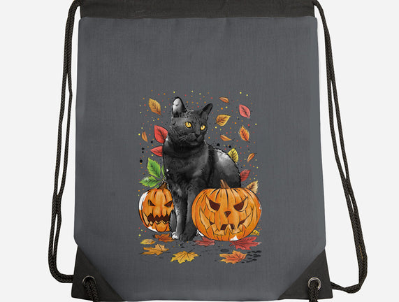 Cat Leaves and Pumpkins