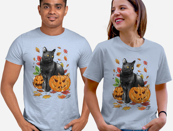 Cat Leaves and Pumpkins