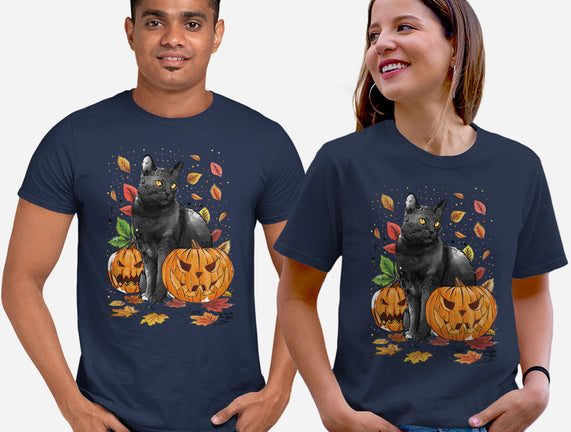 Cat Leaves and Pumpkins