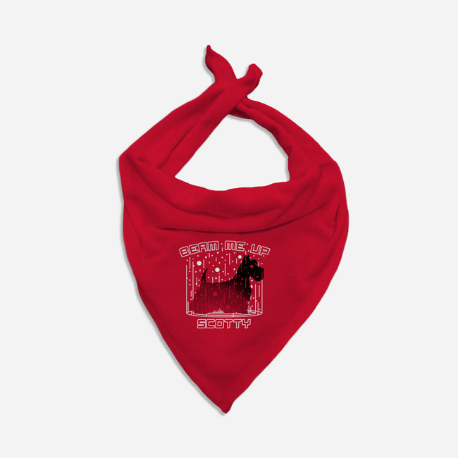 Beam Me Up-cat bandana pet collar-CoD Designs