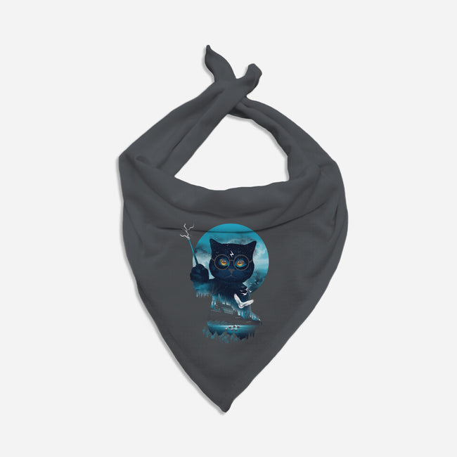 Furry Potter-cat bandana pet collar-dandingeroz
