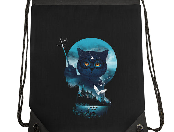 Furry Potter