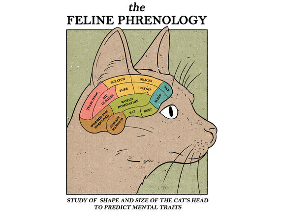 The Feline Phrenology