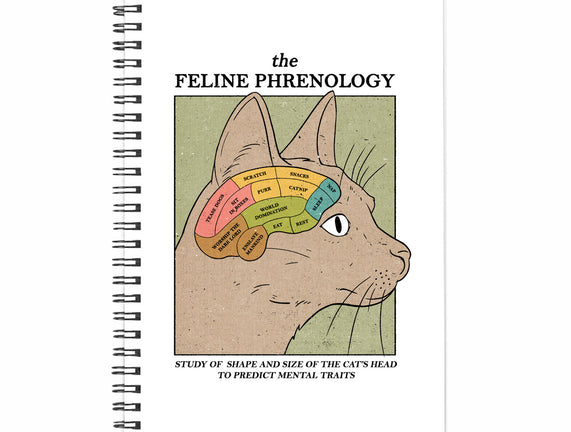 The Feline Phrenology