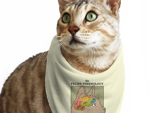 The Feline Phrenology