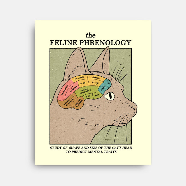 The Feline Phrenology-none stretched canvas-Thiago Correa