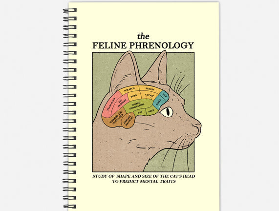 The Feline Phrenology