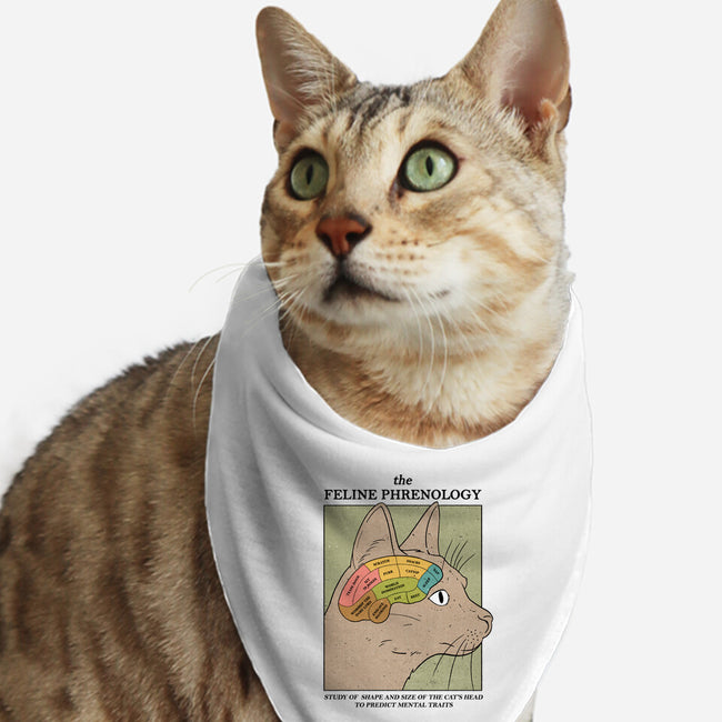 The Feline Phrenology-cat bandana pet collar-Thiago Correa