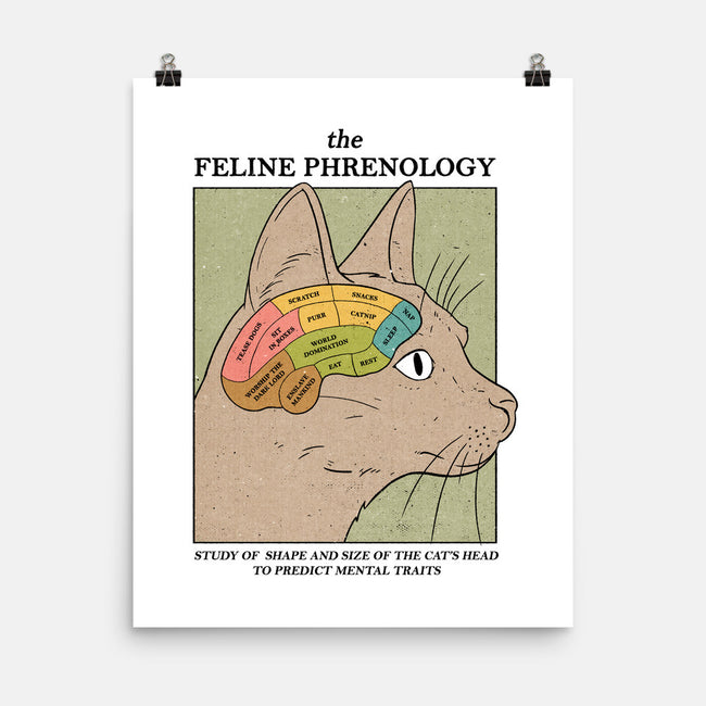 The Feline Phrenology-none matte poster-Thiago Correa