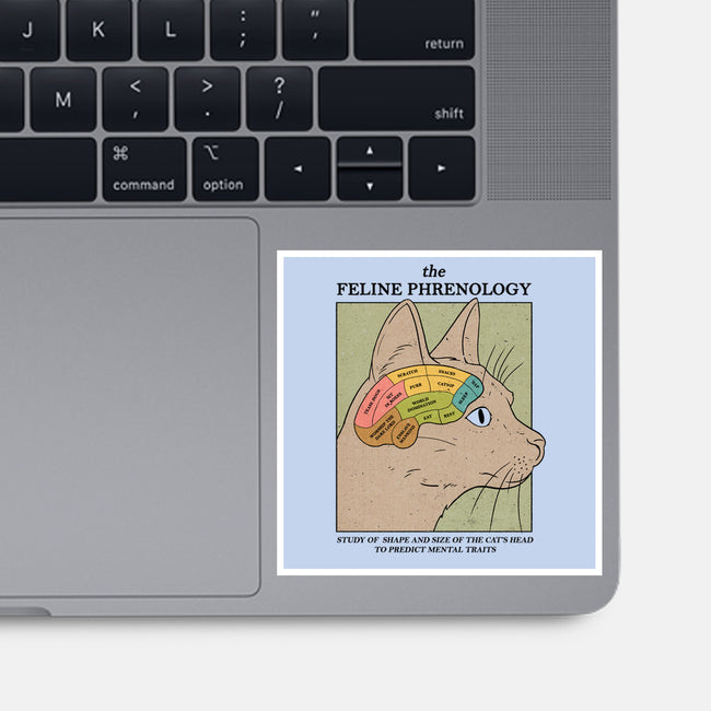 The Feline Phrenology-none glossy sticker-Thiago Correa
