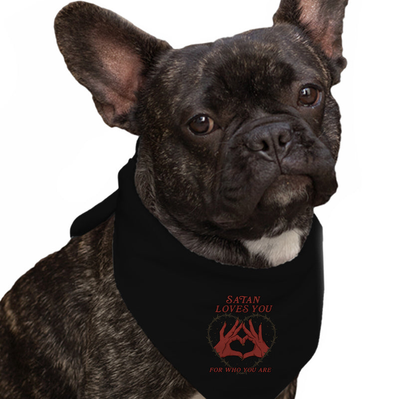 LOVE Louisville Dog Bandana Louisville Dog Collar With Scarf 