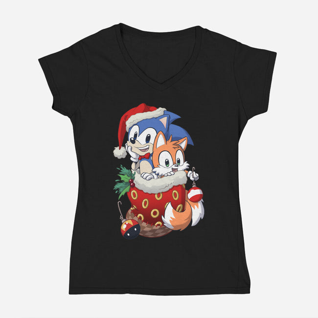 Stocking Stuffer Hedgehog-womens v-neck tee-DoOomcat