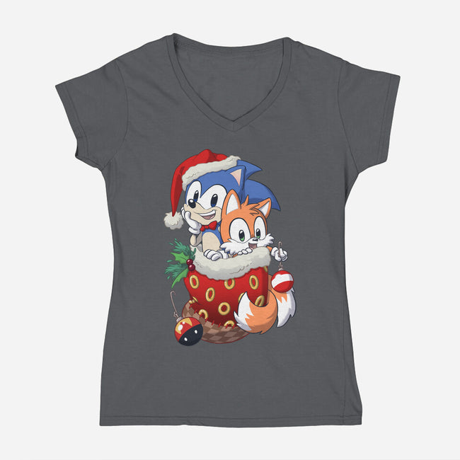 Stocking Stuffer Hedgehog-womens v-neck tee-DoOomcat