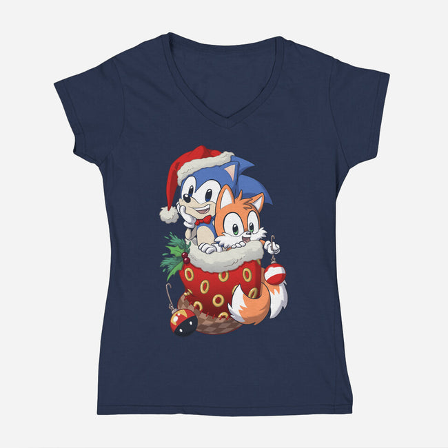Stocking Stuffer Hedgehog-womens v-neck tee-DoOomcat