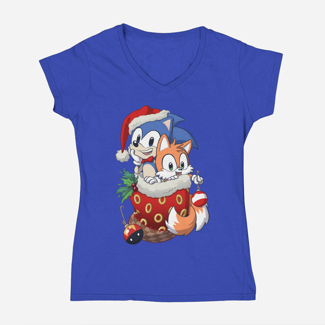Stocking Stuffer Hedgehog-womens v-neck tee-DoOomcat