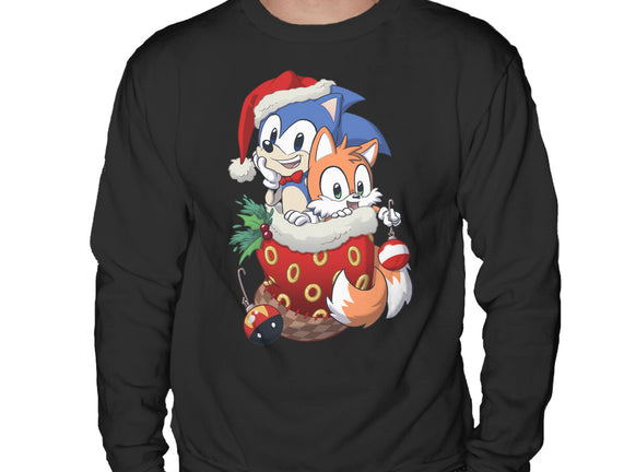 Stocking Stuffer Hedgehog