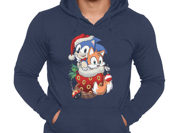 Stocking Stuffer Hedgehog