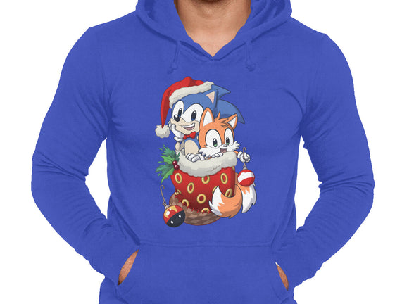 Stocking Stuffer Hedgehog