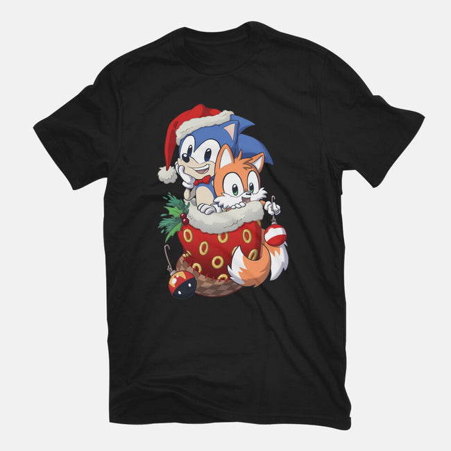 Stocking Stuffer Hedgehog-mens long sleeved tee-DoOomcat