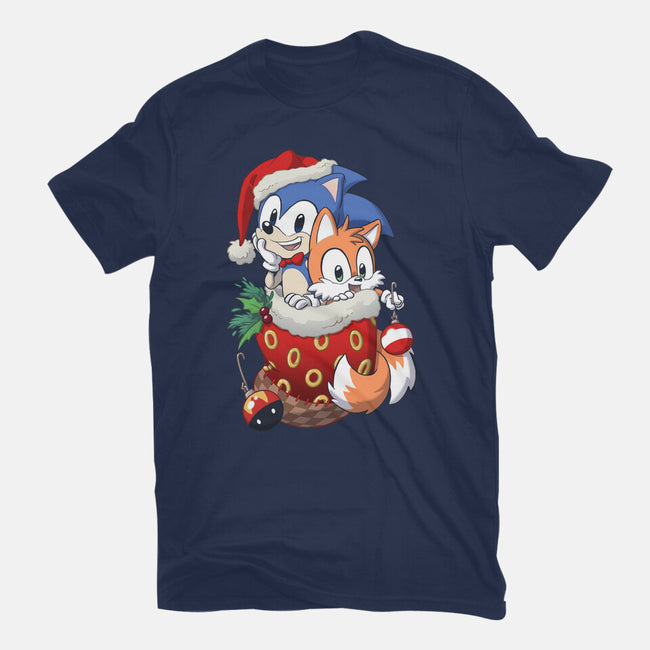 Stocking Stuffer Hedgehog-unisex basic tee-DoOomcat