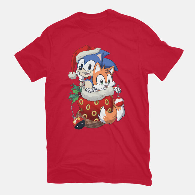 Stocking Stuffer Hedgehog-mens heavyweight tee-DoOomcat