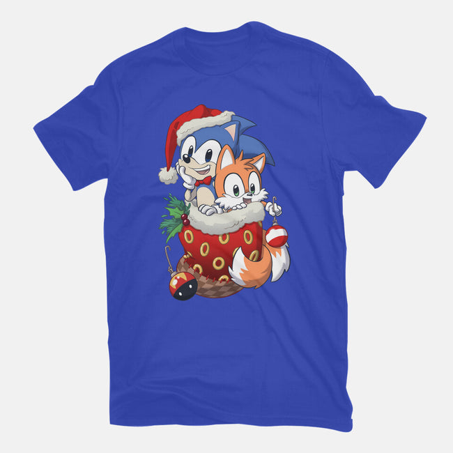 Stocking Stuffer Hedgehog-mens long sleeved tee-DoOomcat